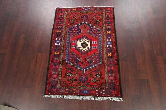 Geometric Hamedan Persian Area Rug 3x5