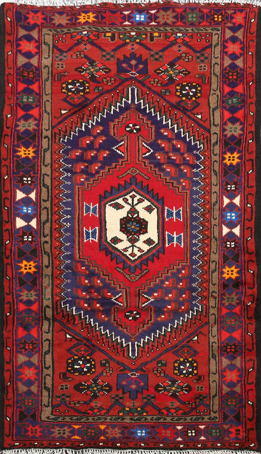 Geometric Hamedan Persian Area Rug 3x5