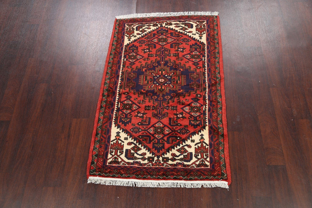 Geometric Hamedan Persian Area Rug 3x5