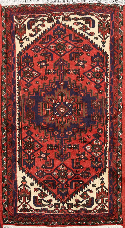 Geometric Hamedan Persian Area Rug 3x5