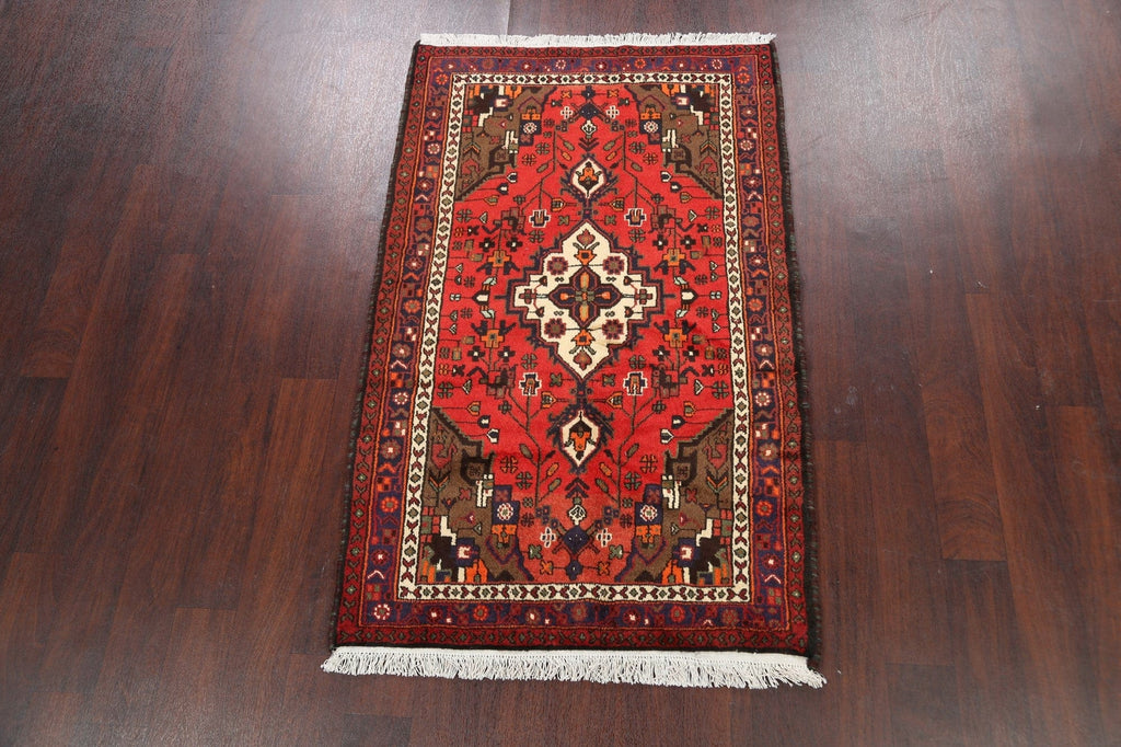 Geometric Hamedan Persian Area Rug 3x5