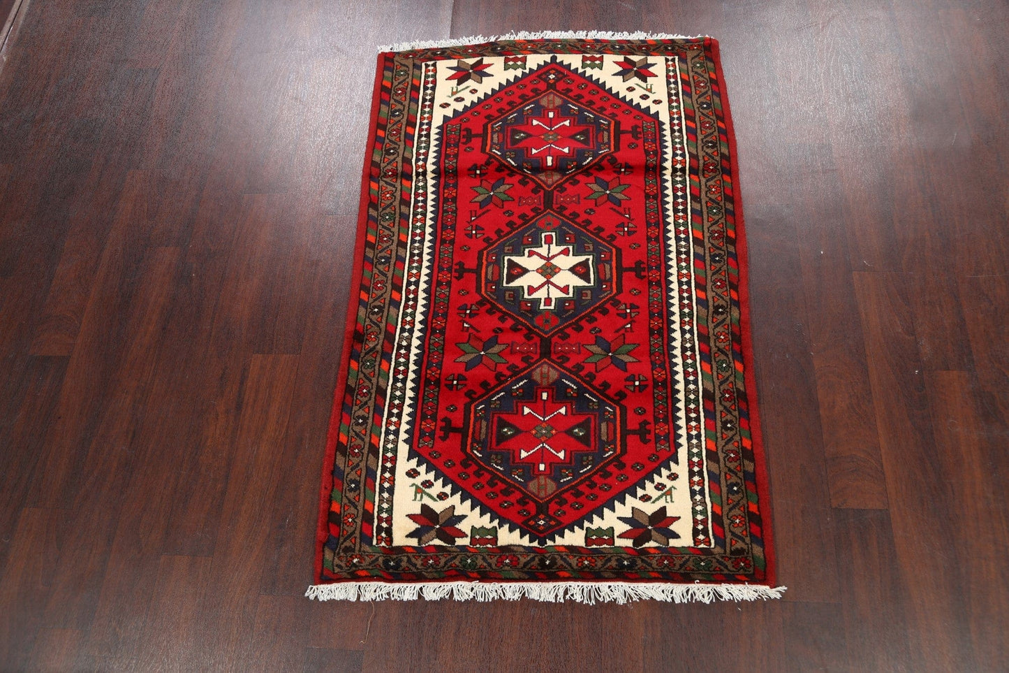 Geometric Hamedan Persian Area Rug 3x5