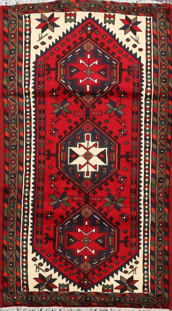 Geometric Hamedan Persian Area Rug 3x5