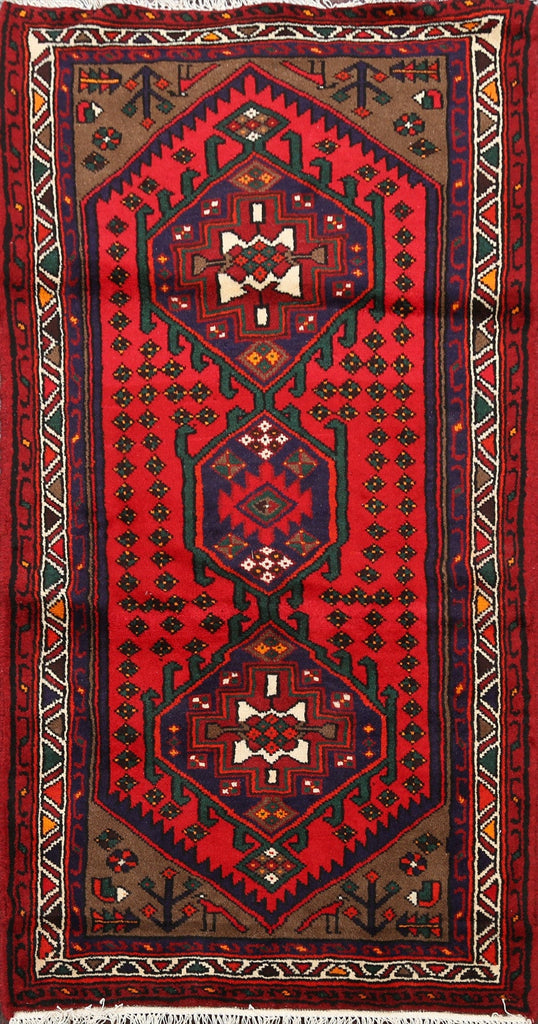 Geometric Hamedan Persian Area Rug 3x5