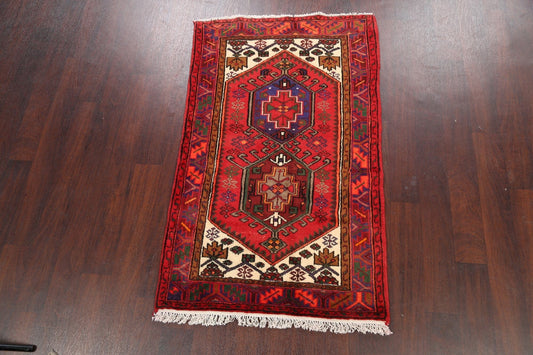 Geometric Hamedan Persian Area Rug 3x5