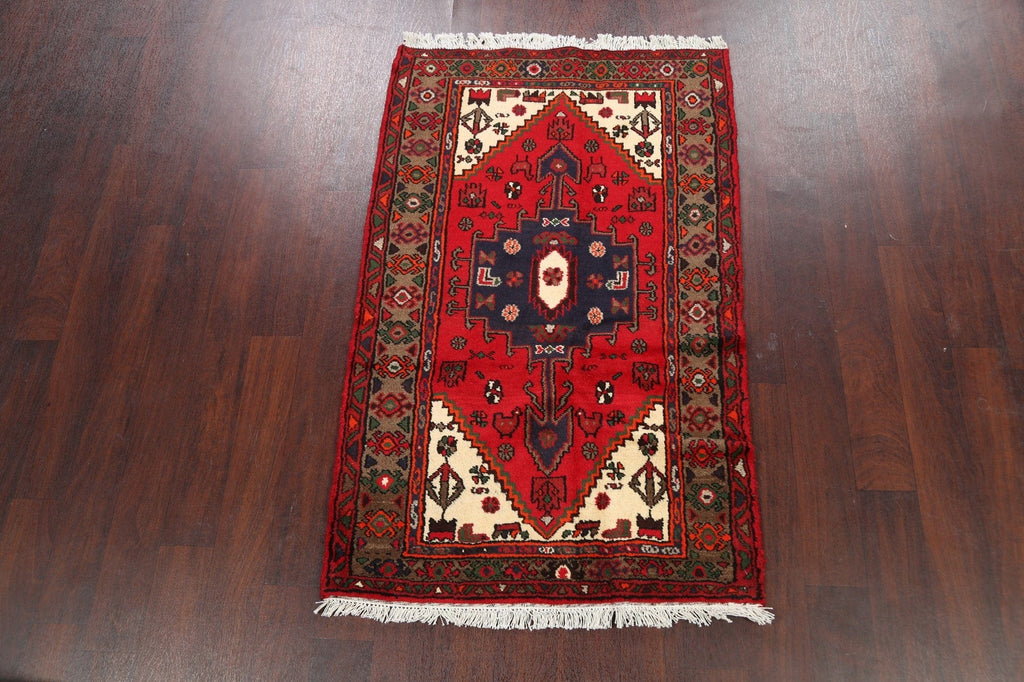 Geometric Hamedan Persian Area Rug 3x5