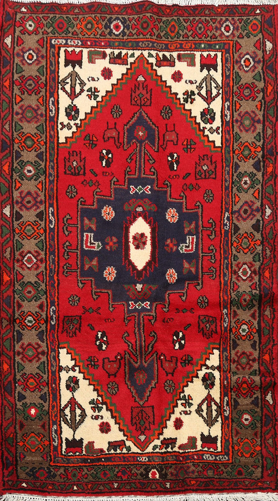 Geometric Hamedan Persian Area Rug 3x5