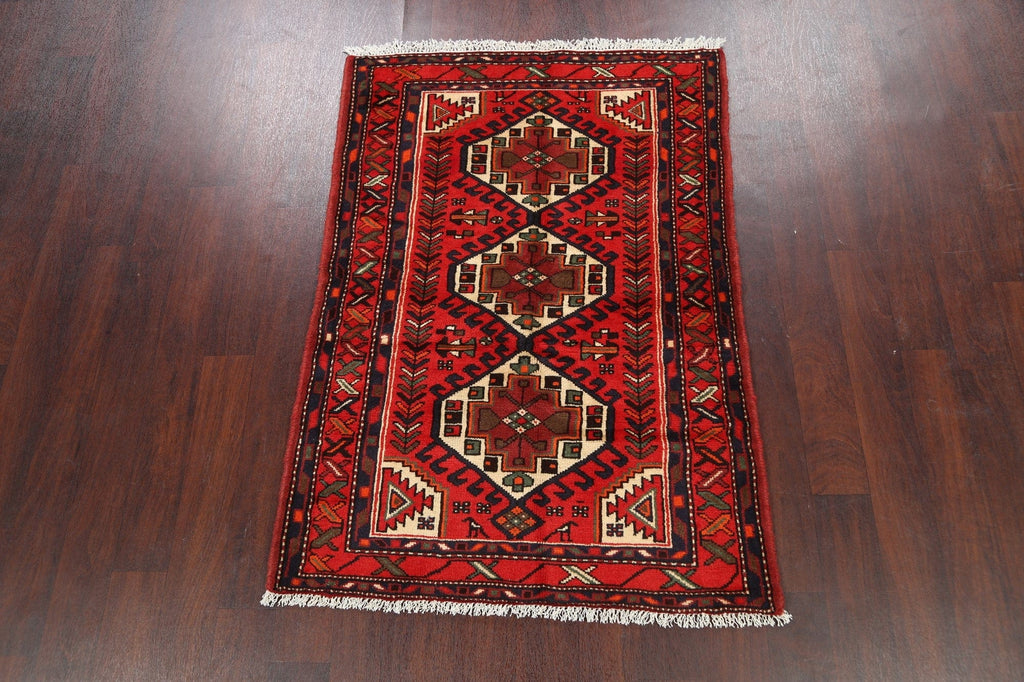 Geometric Hamedan Persian Area Rug 3x5