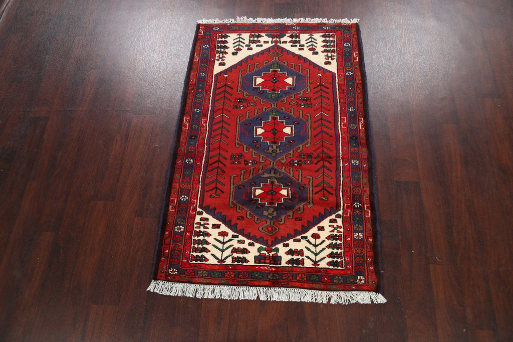 Geometric Hamedan Persian Area Rug 3x5