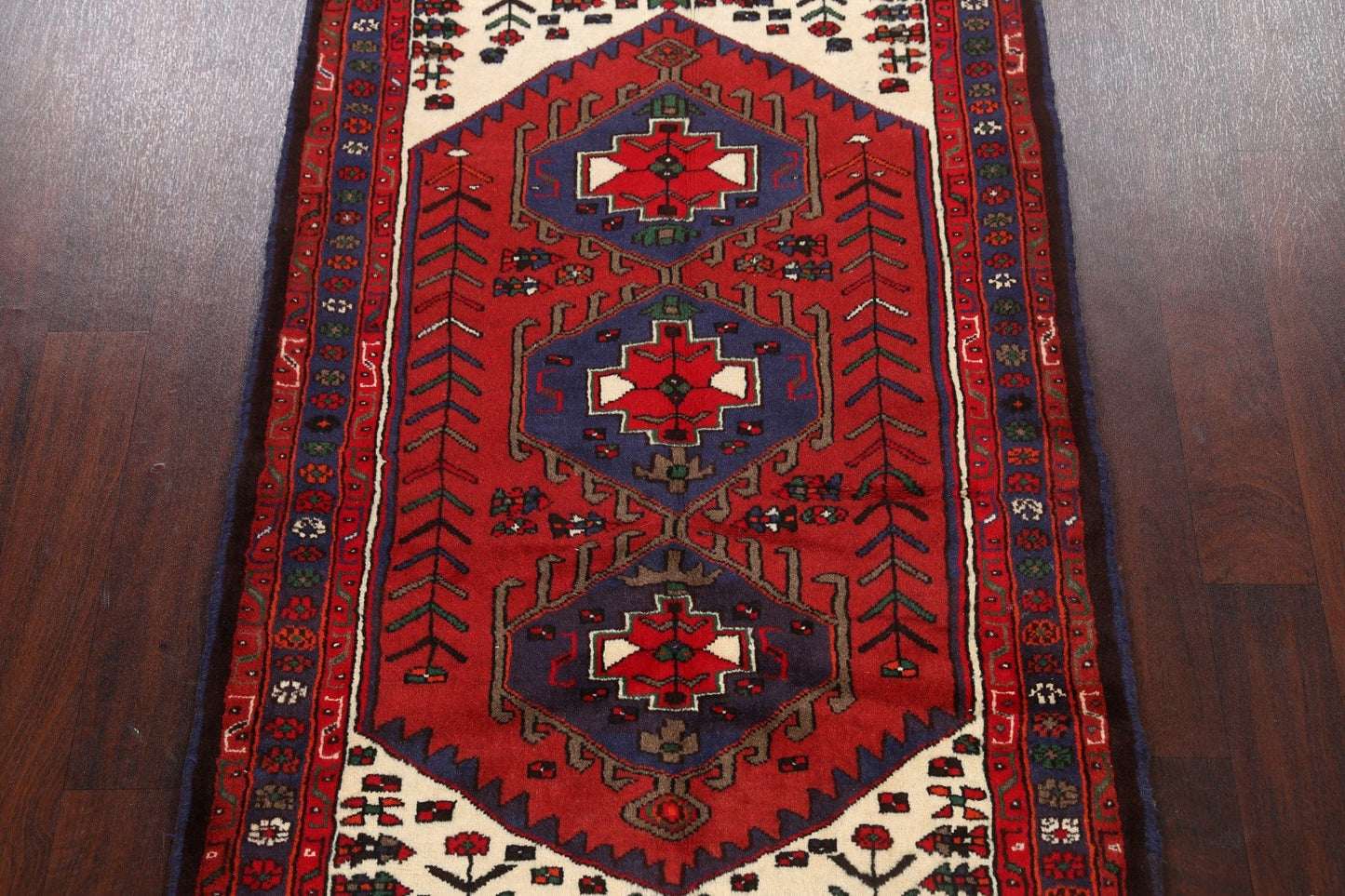 Geometric Hamedan Persian Area Rug 3x5