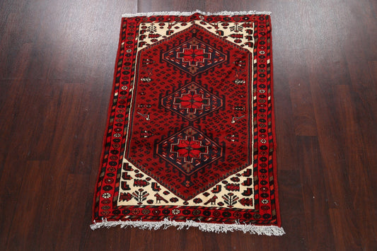 Tribal Hamedan Persian Area Rug 3x4