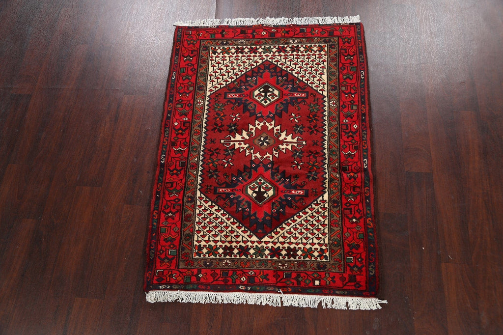 Geometric Hamedan Persian Area Rug 3x5