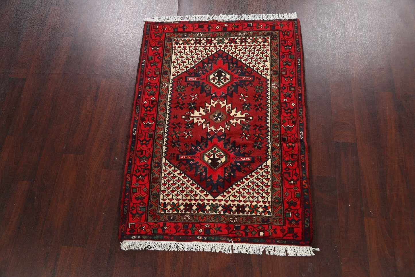 Geometric Hamedan Persian Area Rug 3x5