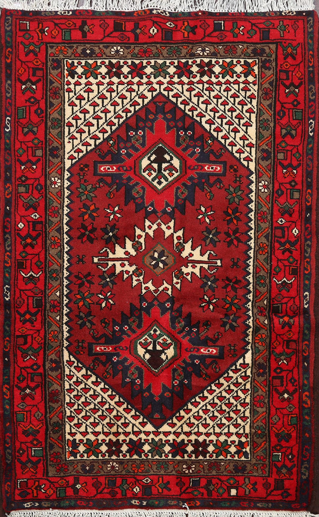 Geometric Hamedan Persian Area Rug 3x5