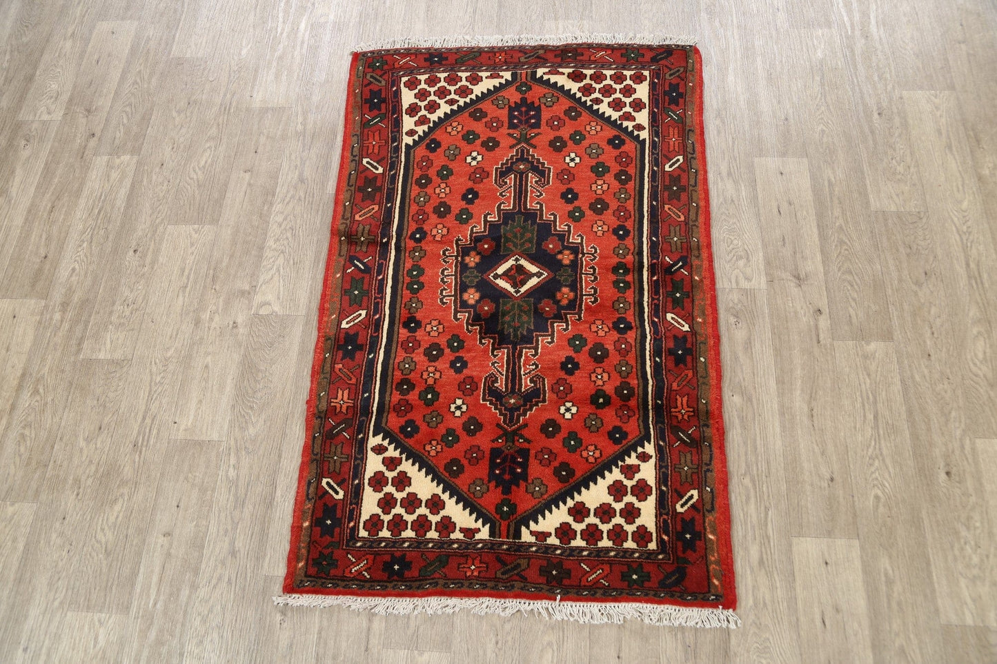 Geometric Hamedan Persian Area Rug 3x5