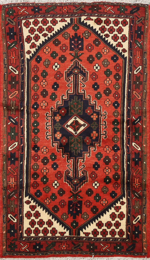 Geometric Hamedan Persian Area Rug 3x5