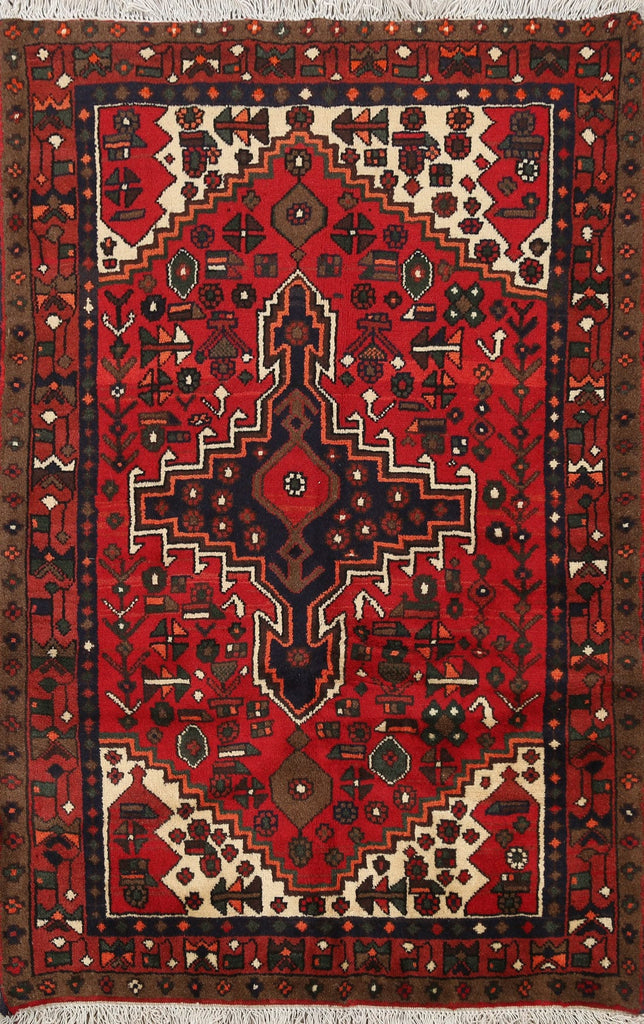 Geometric Hamedan Persian Area Rug 3x5