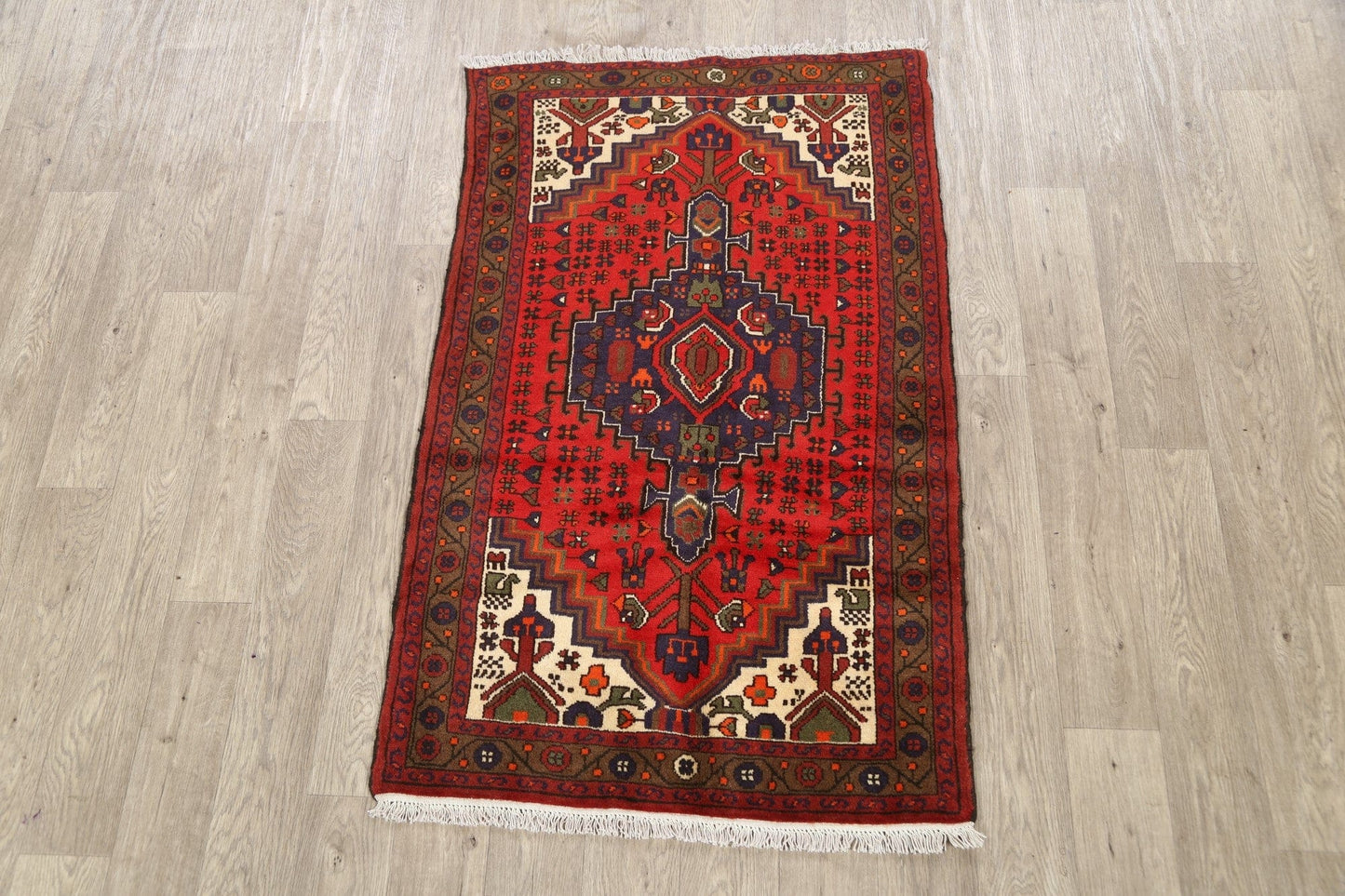 Geometric Hamedan Persian Area Rug 3x5