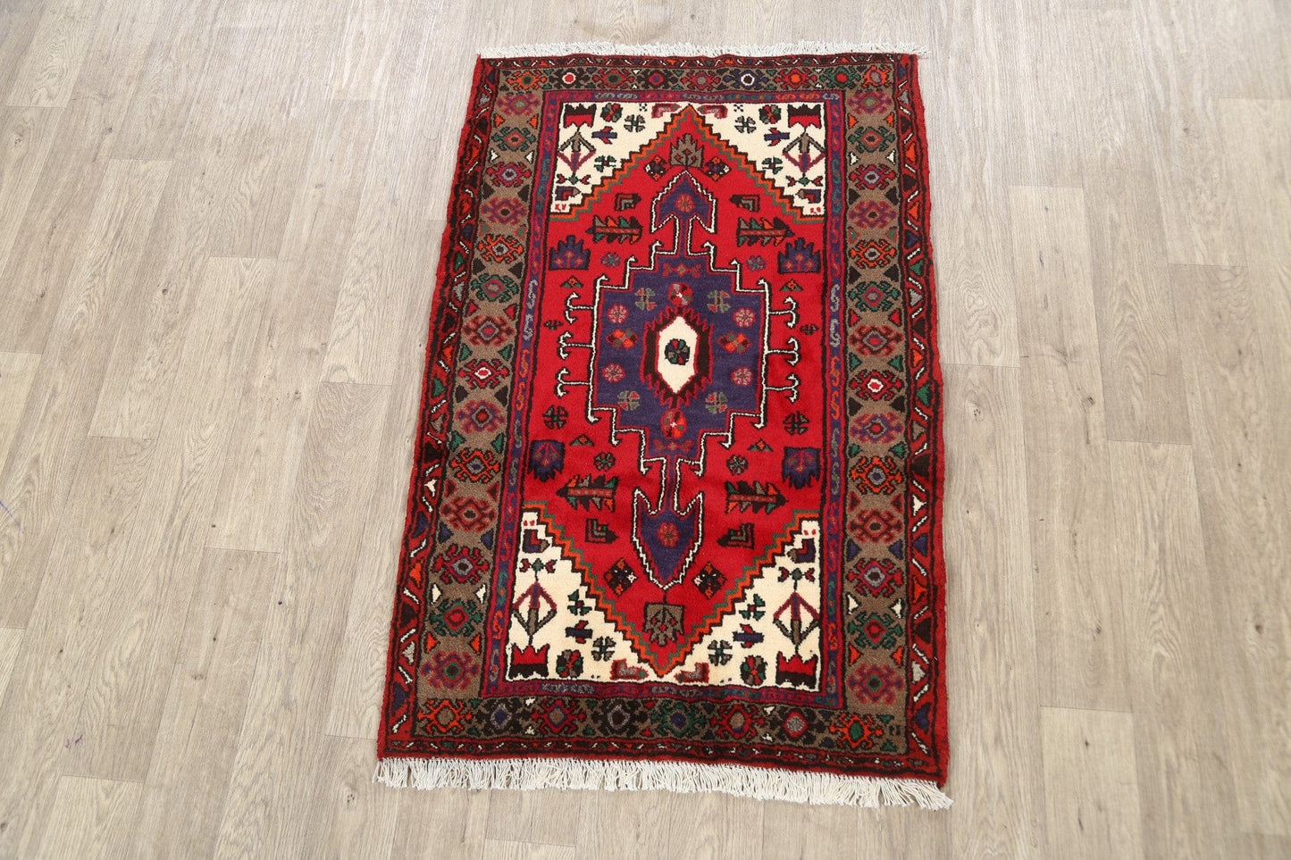 Geometric Hamedan Persian Area Rug 3x5