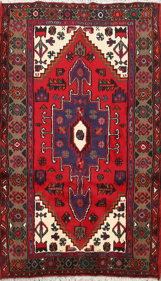 Geometric Hamedan Persian Area Rug 3x5