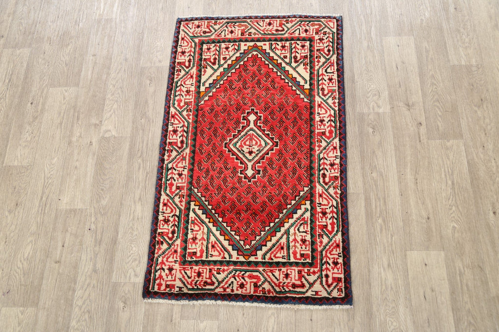 Geometric Boteh Botemir Persian Area Rug 3x4