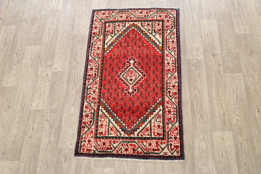 Geometric Boteh Botemir Persian Area Rug 3x4