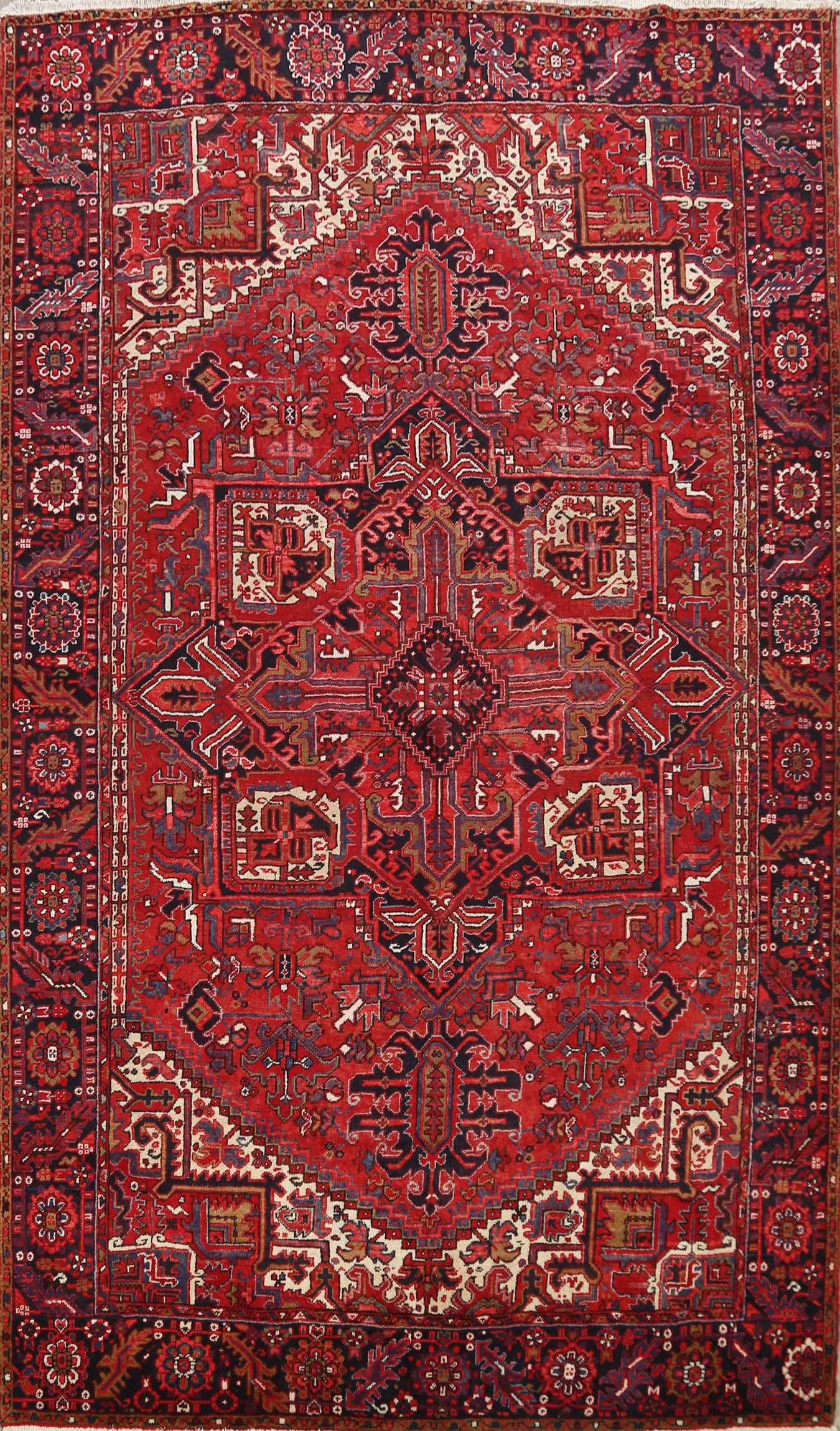 Geometric Heriz Persian Area Rug 8x12