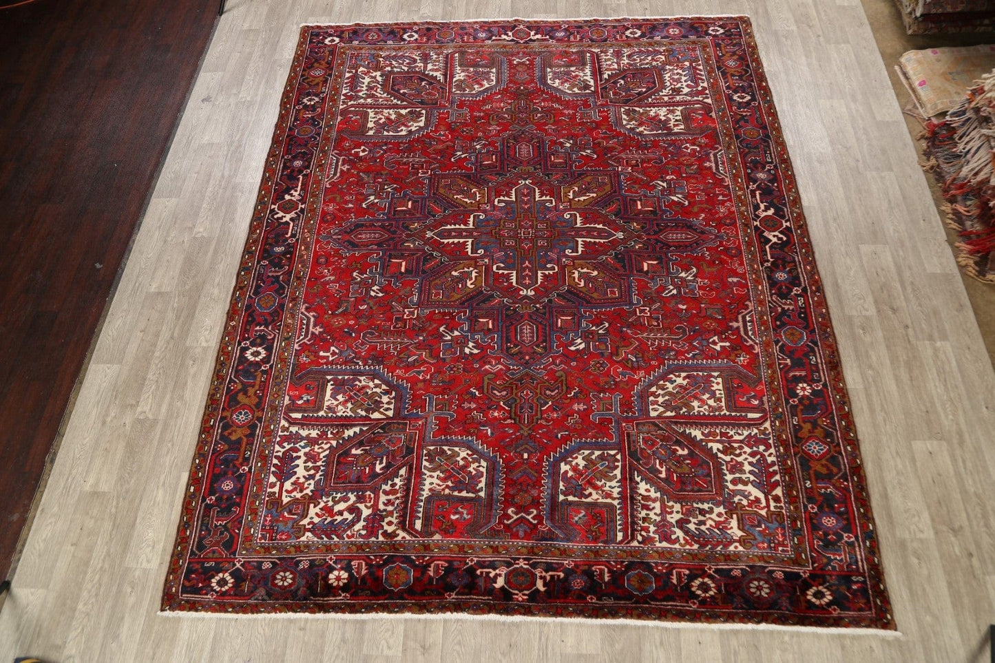 Geometric Heriz Persian Area Rug 9x11