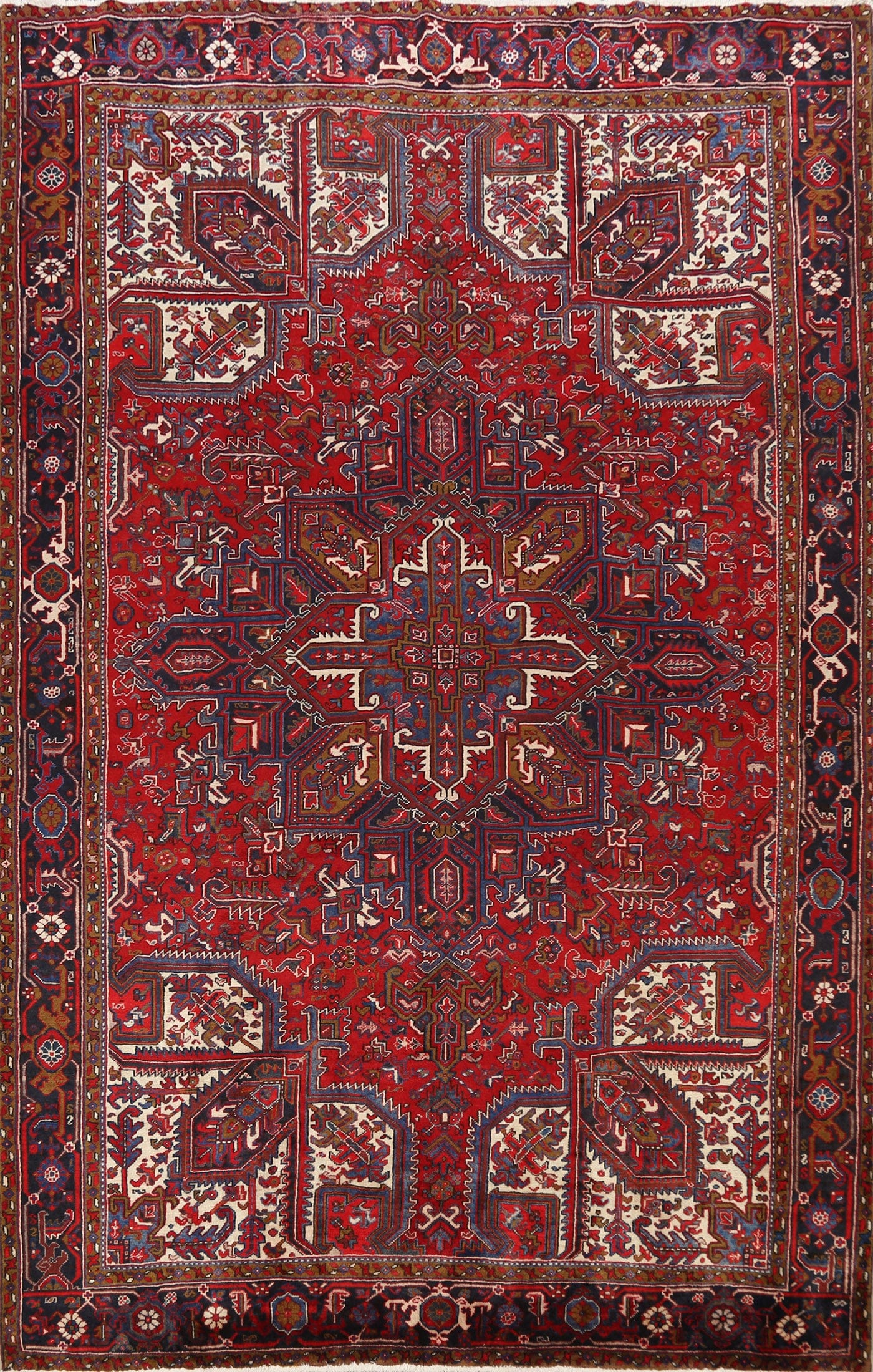 Geometric Heriz Persian Area Rug 9x11