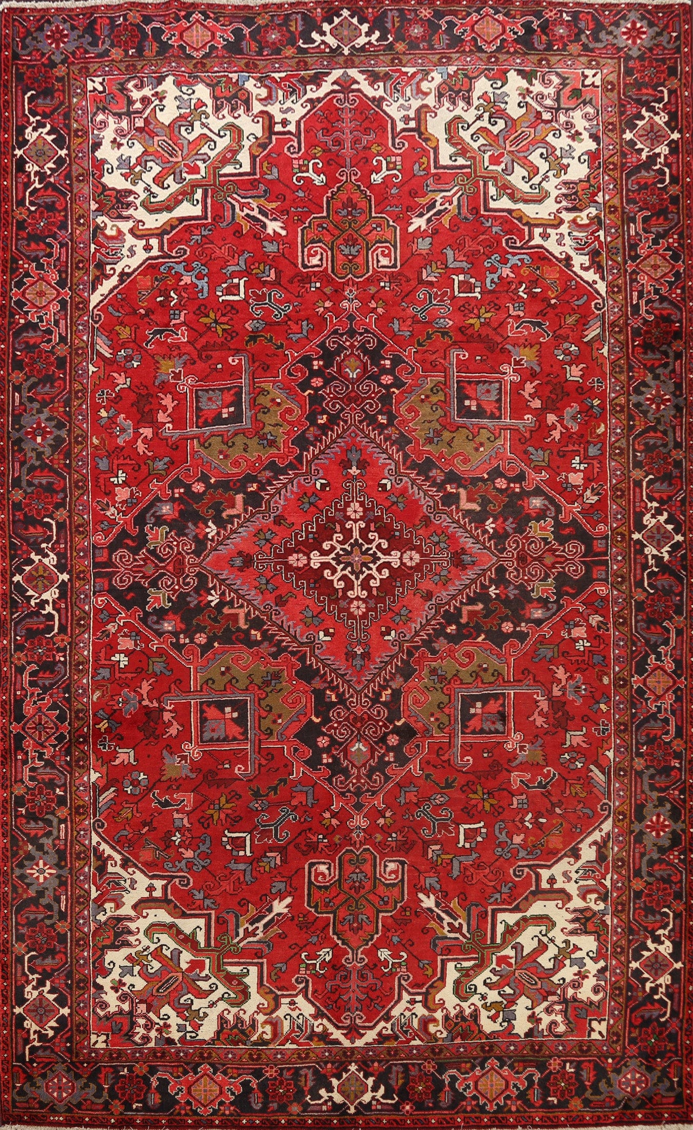 Geometric Heriz Persian Area Rug 9x11