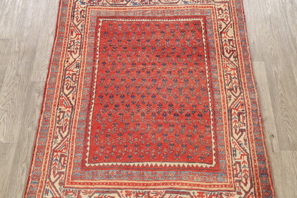 Boteh Botemir Persian Area Rug 4x5