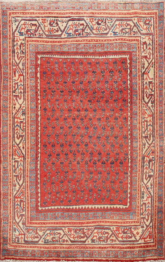 Boteh Botemir Persian Area Rug 4x5