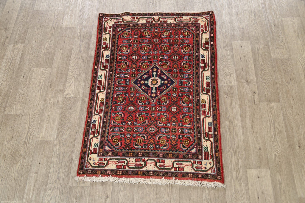 Geometric Hamedan Persian Area Rug 3x5