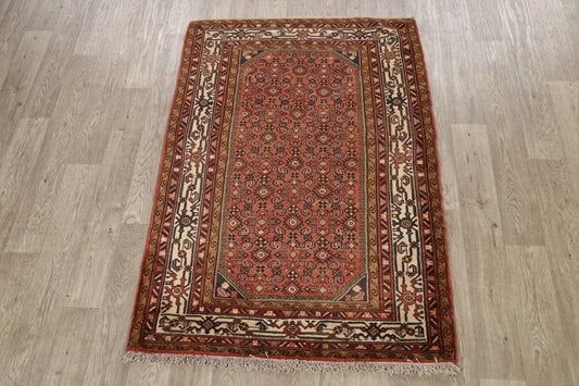 Geometric Hamedan Persian Area Rug 4x6