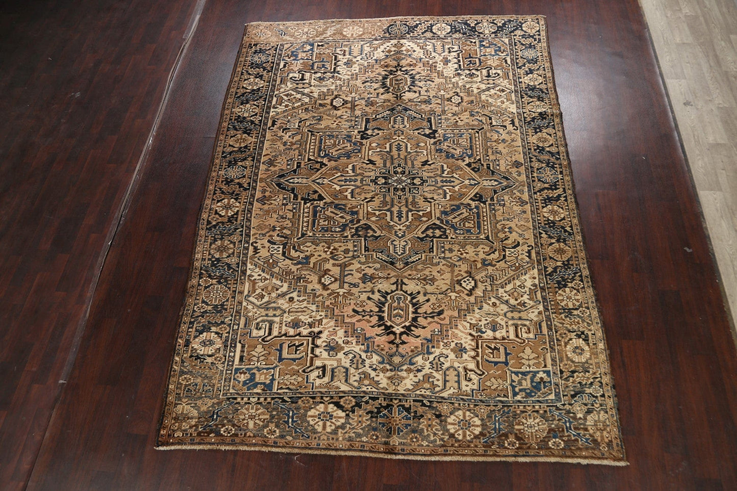 Geometric Heriz Persian Area Rug 8x11