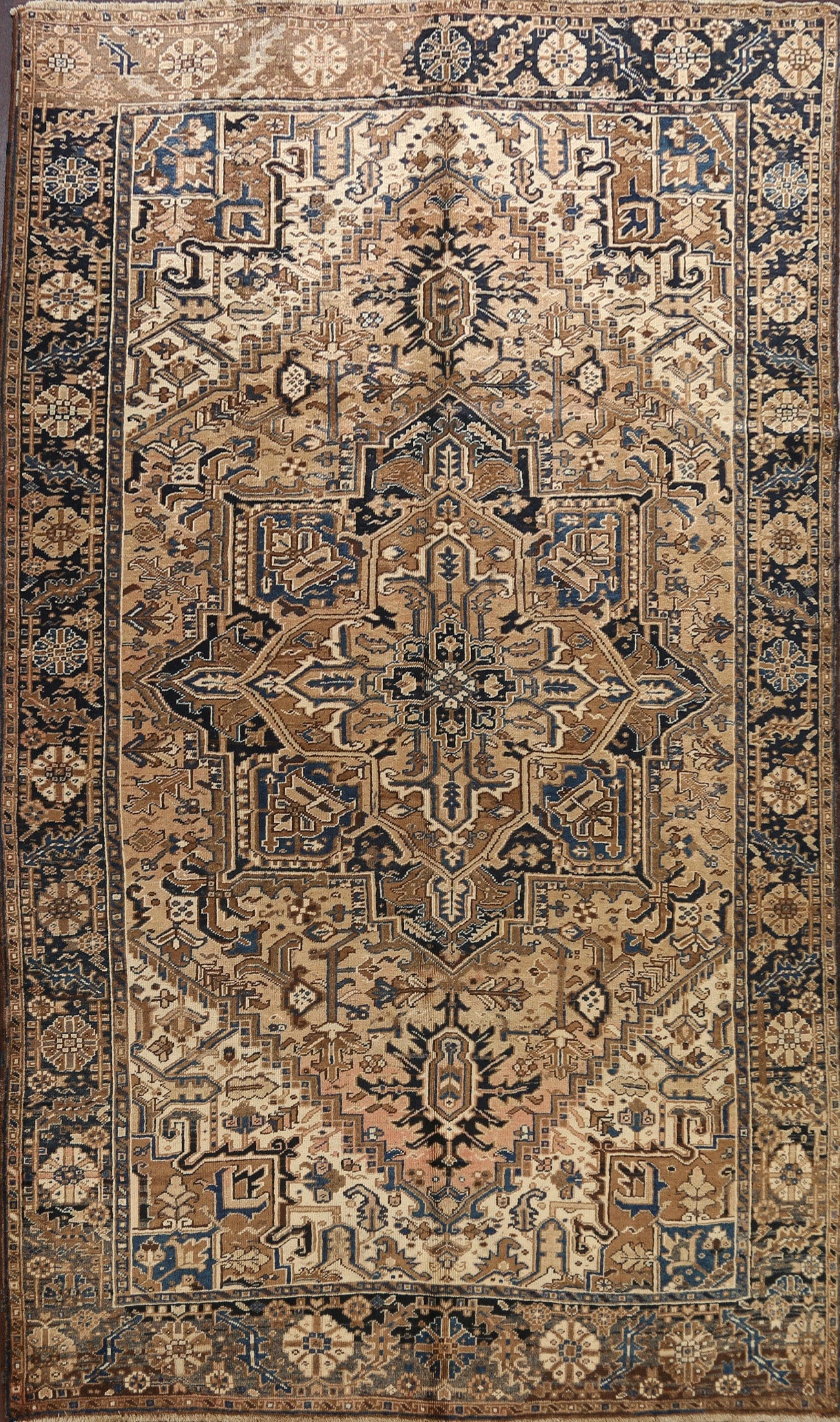 Geometric Heriz Persian Area Rug 8x11