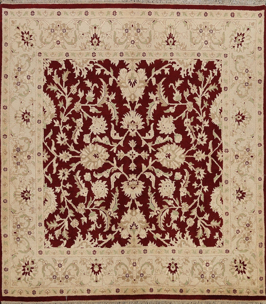 100% Vegetable Dye Floral Agra Oriental Area Rug 7x7 Square