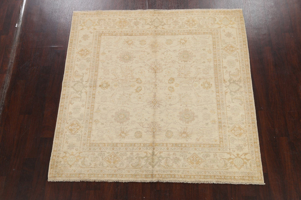 100% Vegetable Dye Peshawar Oriental Area Rug 6x6 Square