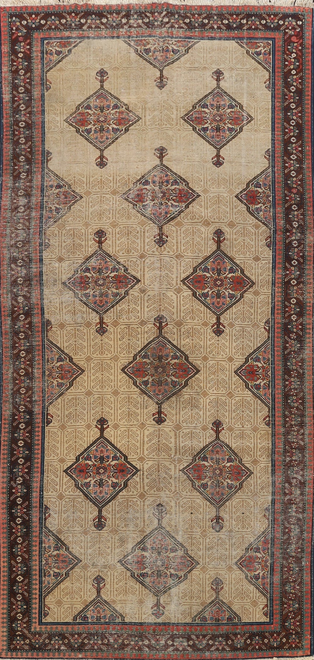 Pre-1900 Antique Vegetable Dye Bibikabad Halvaei Persian Area 6x12