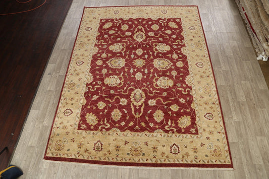 All-Over Floral Peshawar Oriental Area Rug 9x12