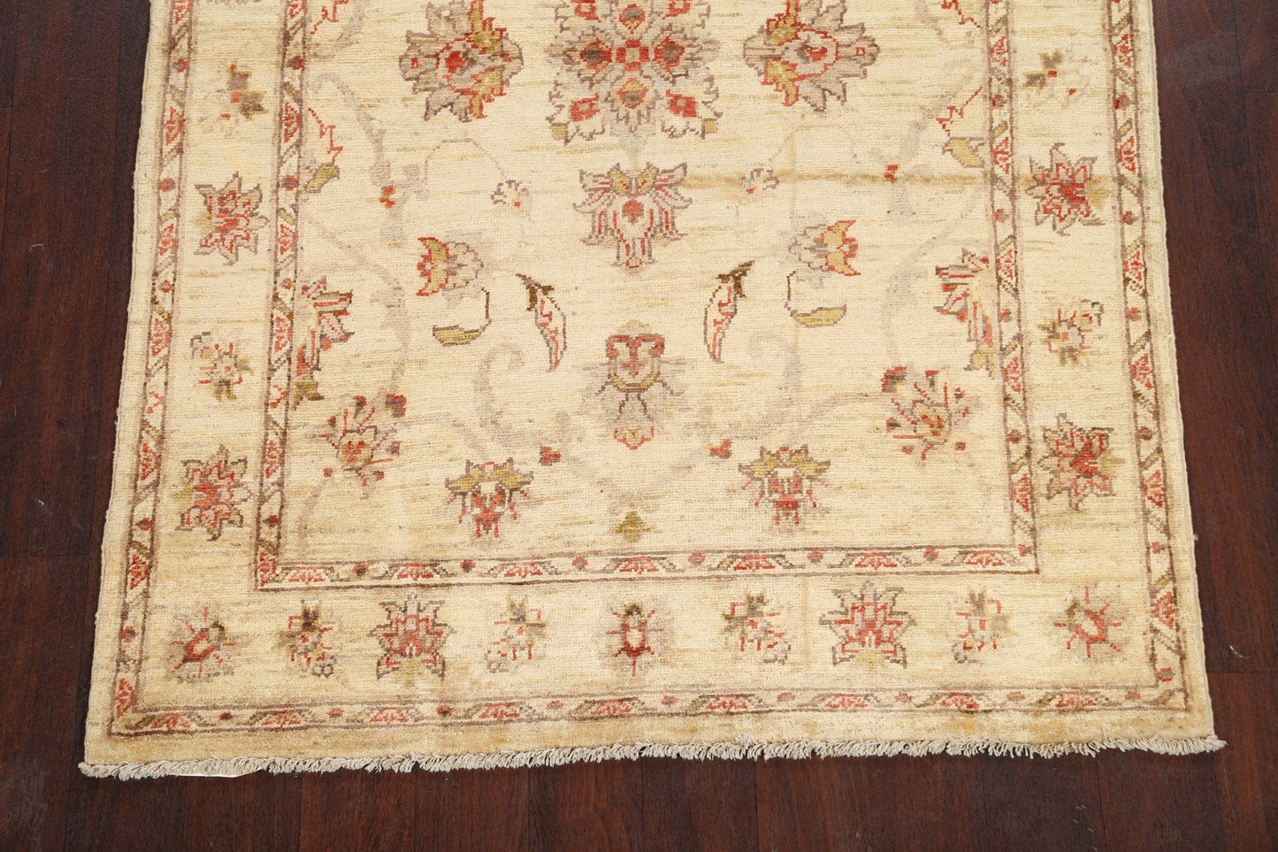 Floral Peshawar Oriental Area Rug 4x6