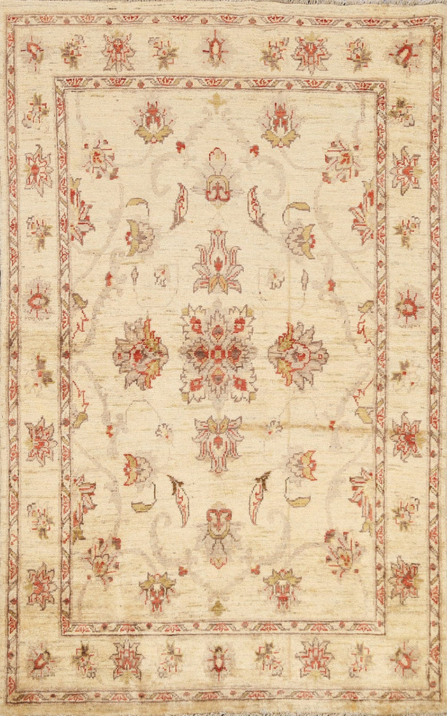 Floral Peshawar Oriental Area Rug 4x6