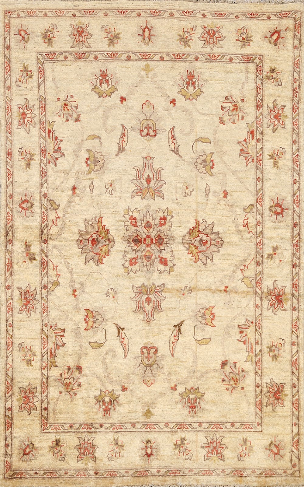 Floral Peshawar Oriental Area Rug 4x6