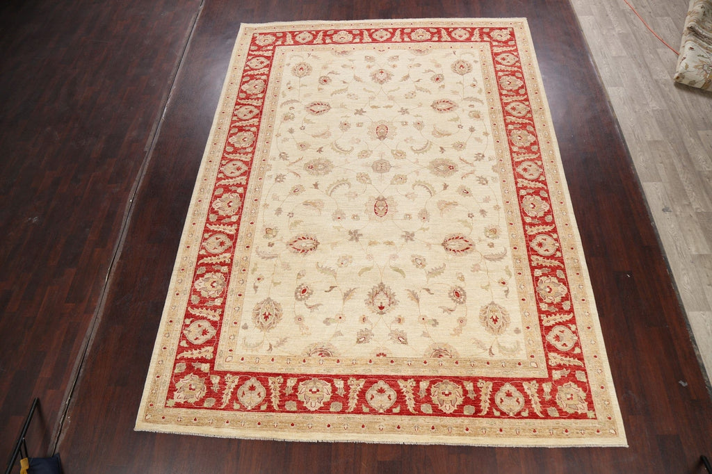 100% Vegetable Dye Floral Peshawar Oriental Area Rug 9x12