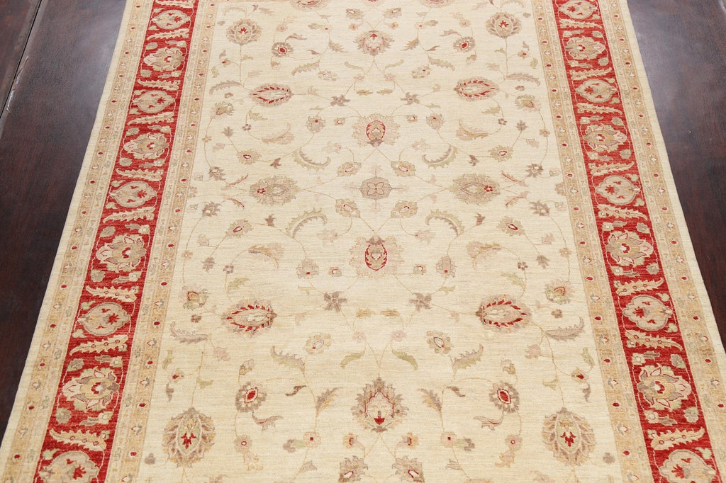 100% Vegetable Dye Floral Peshawar Oriental Area Rug 9x12