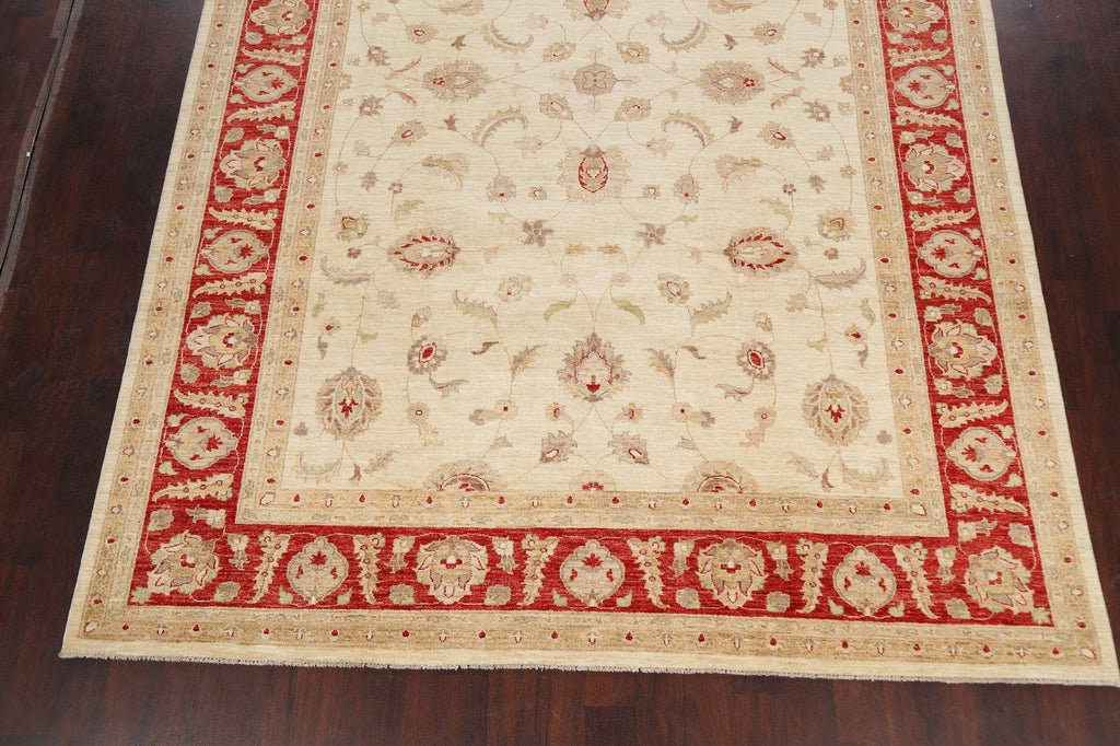 100% Vegetable Dye Floral Peshawar Oriental Area Rug 9x12