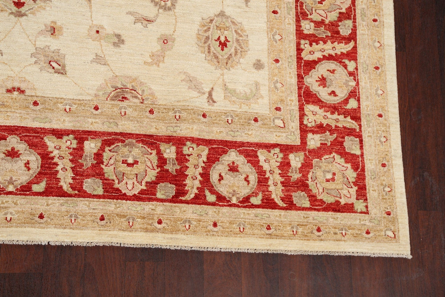 100% Vegetable Dye Floral Peshawar Oriental Area Rug 9x12