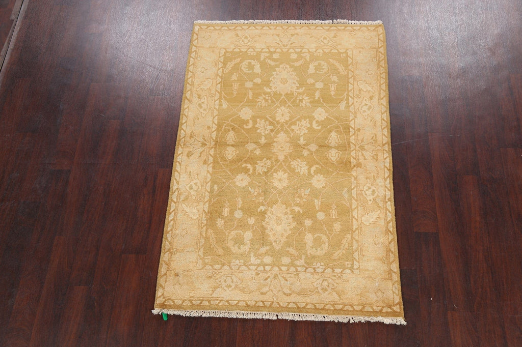 Floral Agra Oriental Area Rug 4x6