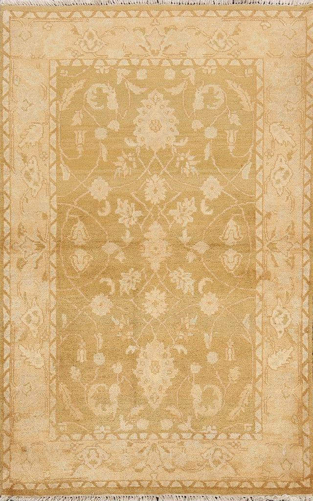 Floral Agra Oriental Area Rug 4x6