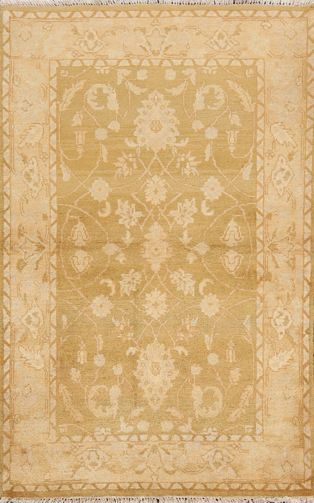 Floral Agra Oriental Area Rug 4x6